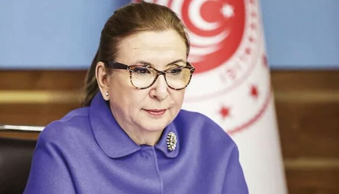 Bu dezanfektan bakanı pekcan hanım ne oldu haberi olan varmı #SusanSuçaOrtaktır NEREDE BU KADIN 🤔🤔🤔