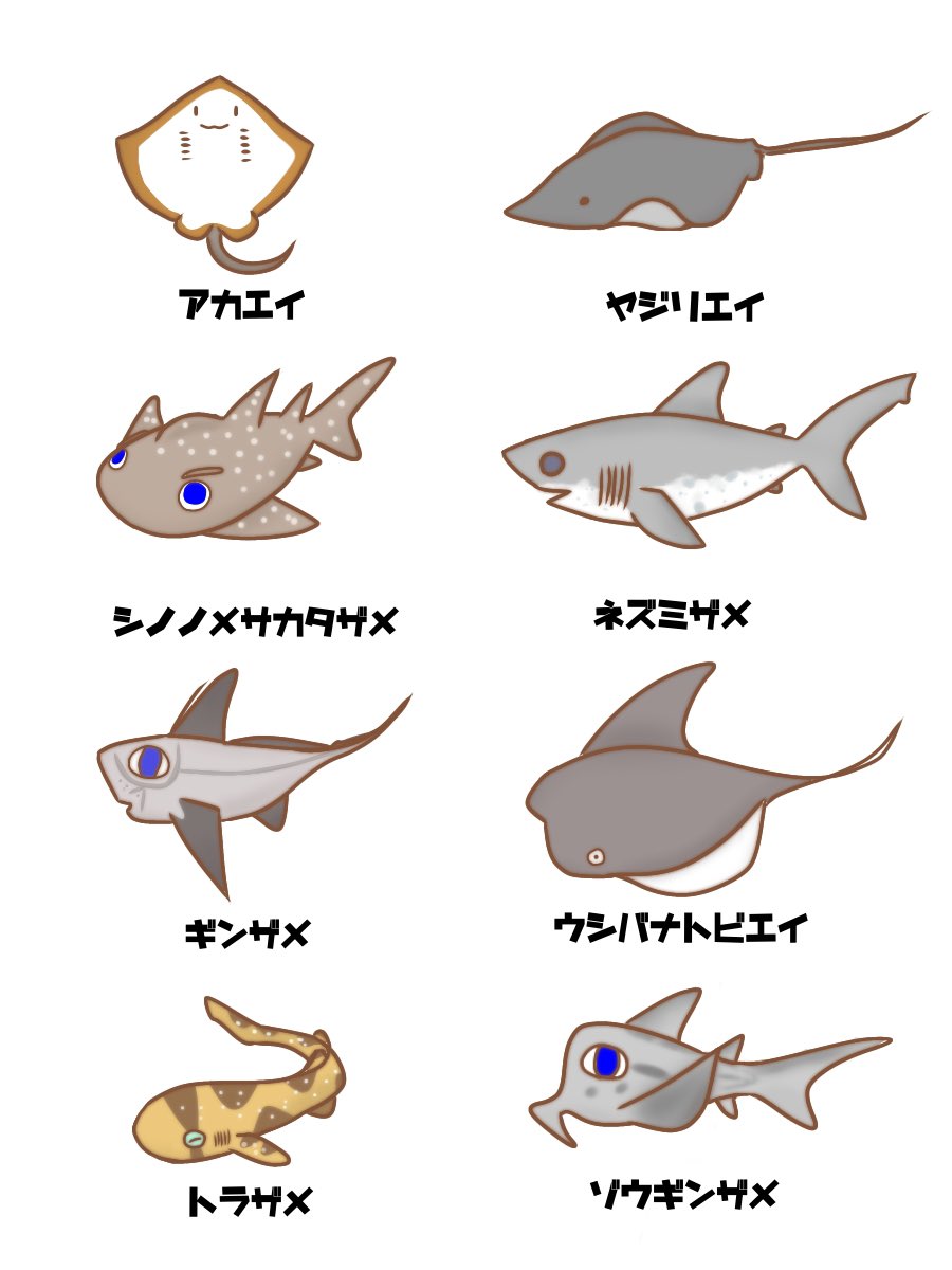 けいこっとん على تويتر チビ軟骨魚類ーズ サメはもちろん サメ以外も好きなんです サメ エイ ギンザメ イラスト Shark Illurstrations 絵描きさんと繋がりたい けいこっとん على تويتر チビ軟骨魚類ーズ サメはもちろん サメ以外も好きなんです サメ エイ ギンザメ イラスト Shark Illurstrations 絵描きさんと繋がりたい
