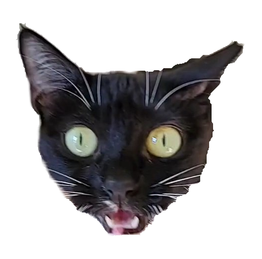 Kwangyda • 광이다 • 光です tweet media