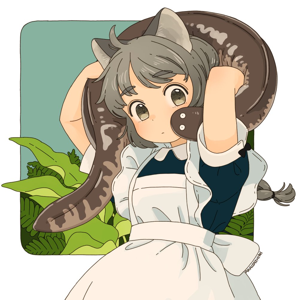 1girl animal ears apron white apron solo grey hair short sleeves  illustration images