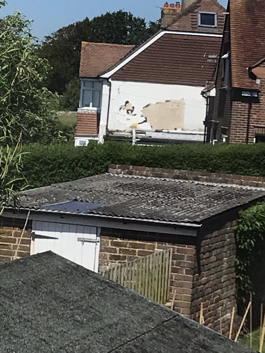 The neighbours are either street artists or have just hacked off some plaster and made a cat 🤷‍♀️#catart