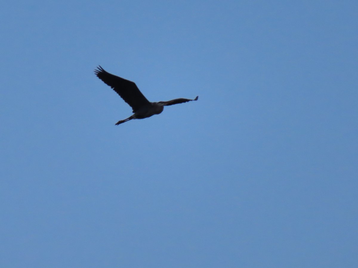 PLKlein_Author's tweet photo. "Blessed are the weird people: poets, misfits, writers, mystics, painters, troubadours: For they teach us to see the world through different eyes." ~#JacobNordby #ThinkBIGSundayWithMarsha #ThinkingOutLoud #QuickQuotes #SundayMotivation #WeirdPeople #Poets #Misfits #DifferentEyes https://t.co/35kFlStrz1