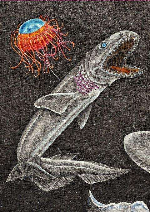 Tatsuya Kouchiさんのイラストまとめ