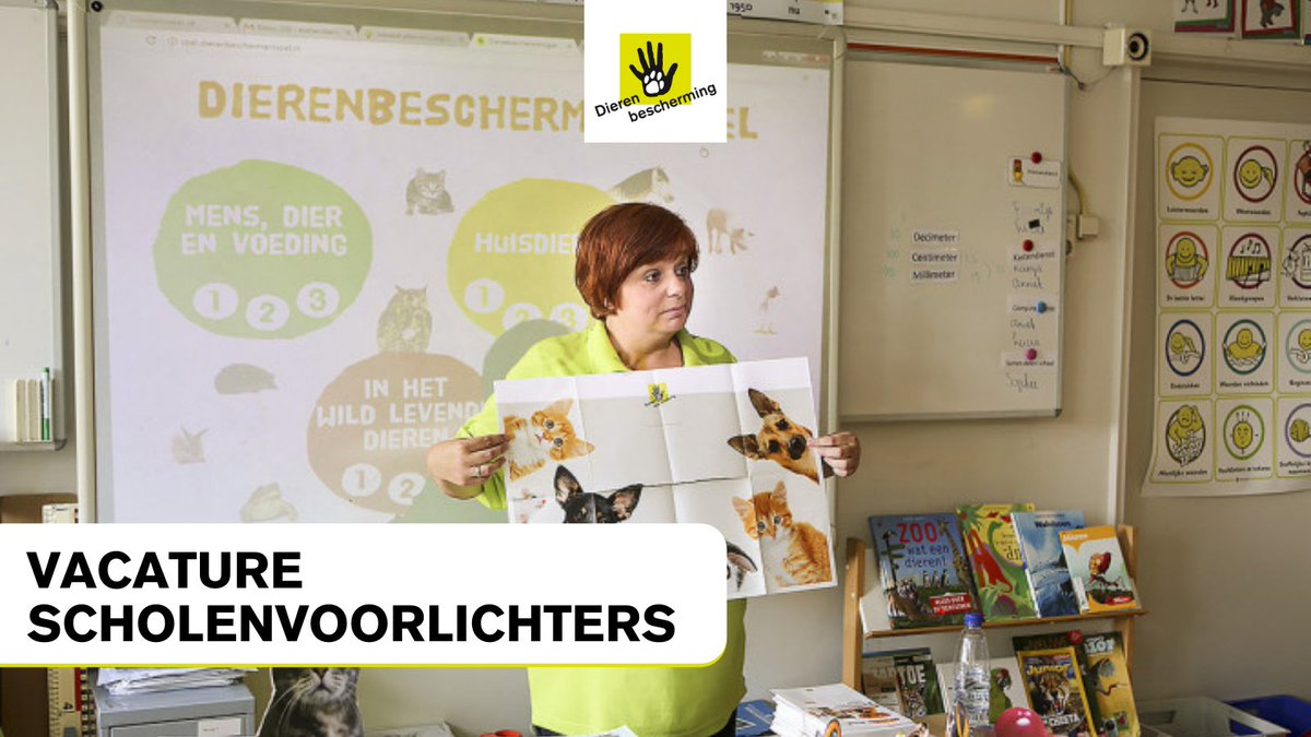 Dierbescherming's tweet image. Vrijwillige #Scholenvoorlichters gezocht!

Als scholenvoorlichter geef je kinderen op basisscholen voorlichting over dieren en dierenwelzijn bit.ly/3iwpuov.

Sta jij binnenkort als ambassadeur van de dieren voor de klas?