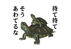 アカピッピミシミシガメのLINEスタンプ作ったんで、良かったら使ってください。
https://t.co/z8hVbXiDT8
https://t.co/Ep7NcPCFOo
https://t.co/X3bYN81lqI