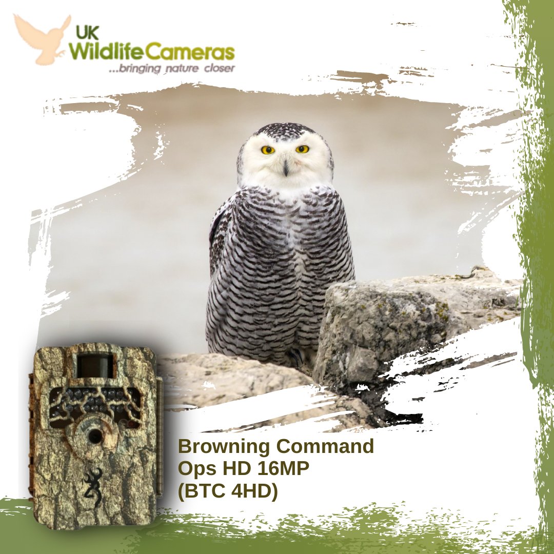 The Browning Command Ops HD is a high-quality trail camera that combines 16 megapixels still image capture with 720p HD video recording, together with a night vision mode.

Bringing nature closer.
ukwildlifecameras.co.uk

#ukwildlifecamera #wildlife #camera #nature #trailcams