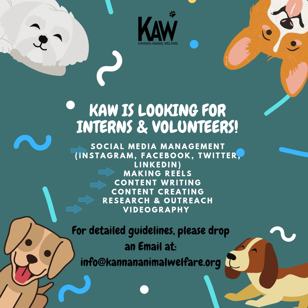 kawfoundation's tweet photo. KAW is looking for Interns and Volunteers!

Internship form: https://t.co/zGIt6tTyB4

Volunteer form:
https://t.co/Aj2ZlRPzuw

For detailed guidelines, please drop an email at:
info@kannananimalwelfare.org

To learn more, please visit our website: https://t.co/szghS2beZf https://t.co/zG0AlHdVco