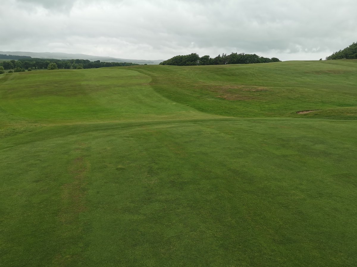RanfurlyGC1889's tweet photo. Amazing what a small amount of rain and a springle of aquaduct flex can do in 4 days ☀️⛳ https://t.co/8ERU3c8ZPa