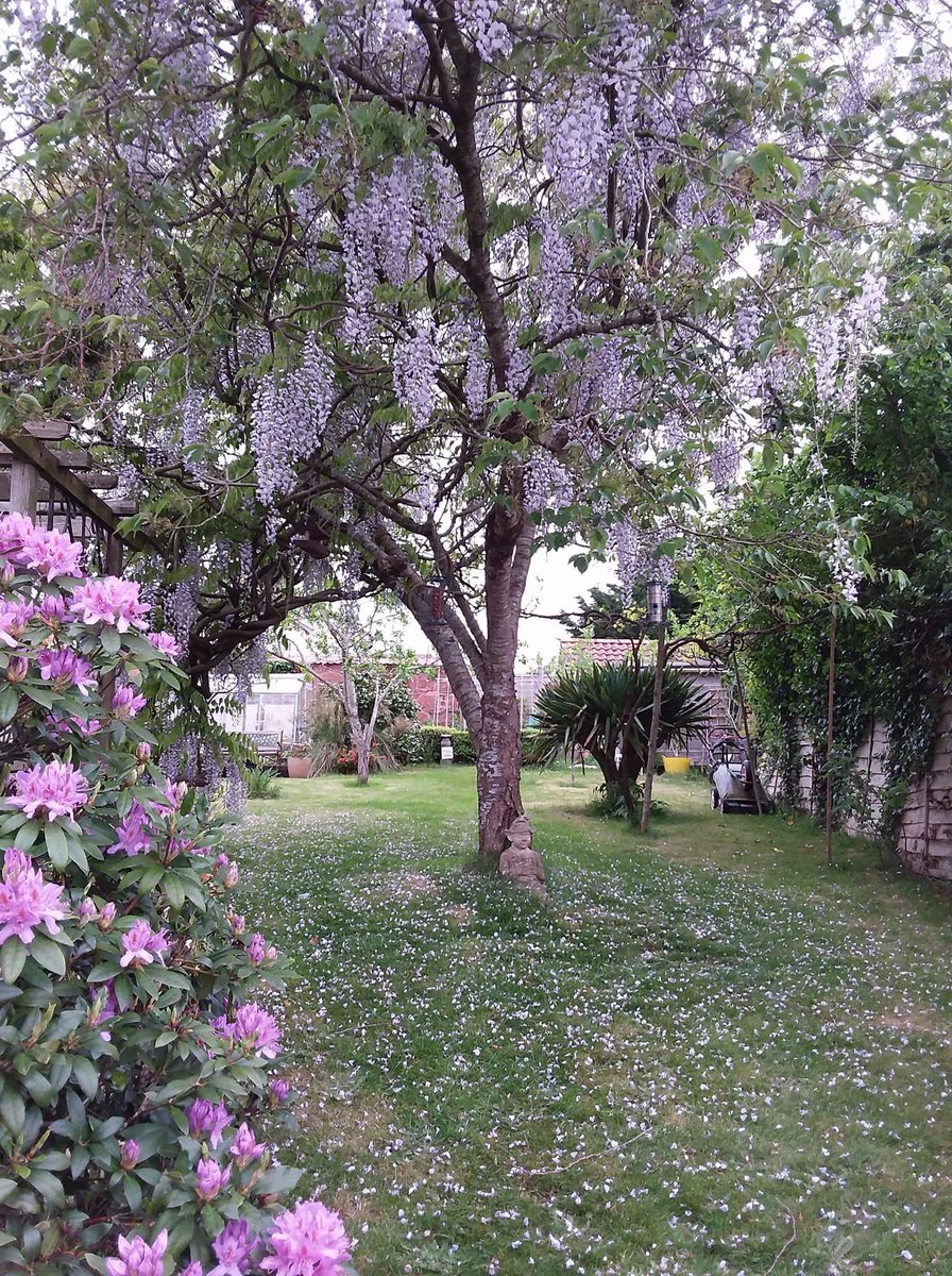 HCT Turf - We Sell Turf tweet media