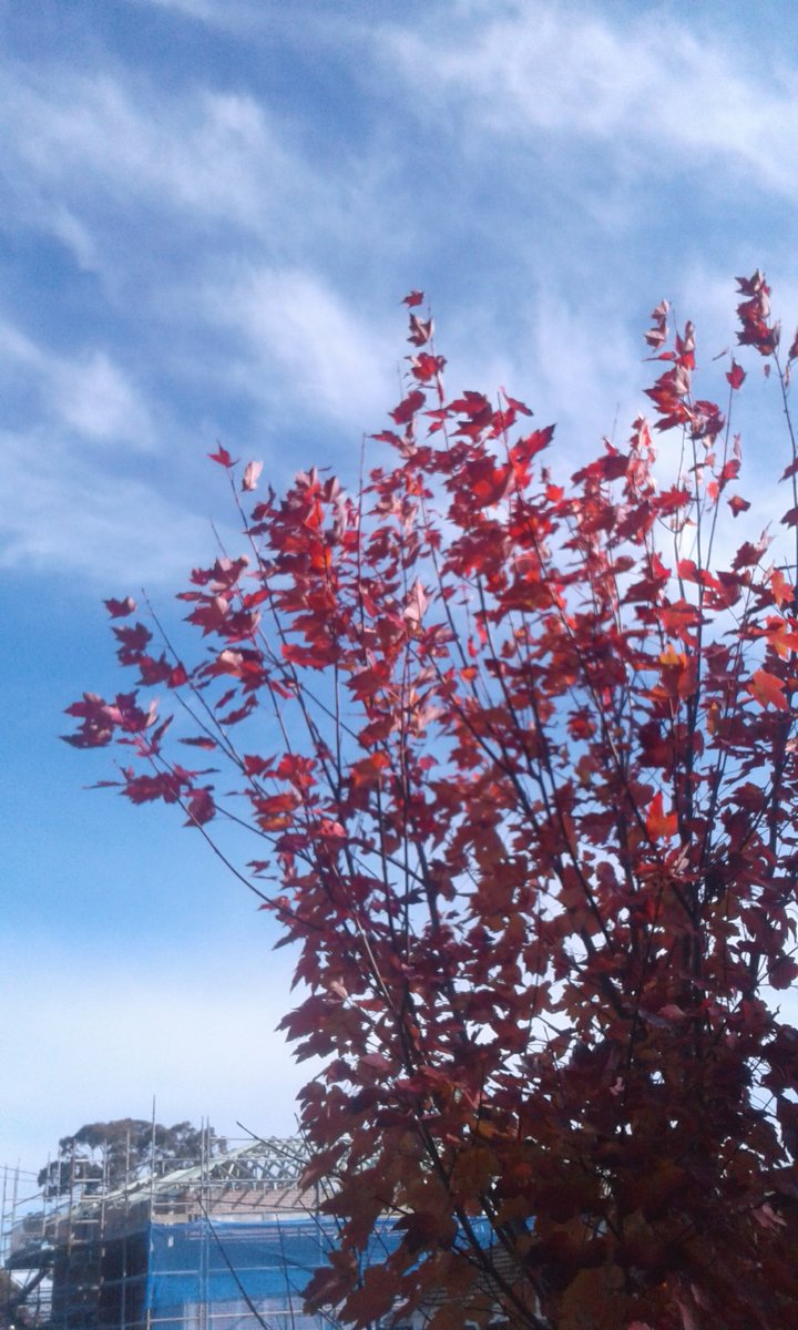 Art By Jonathan (@jonatha05532126) on Twitter photo 