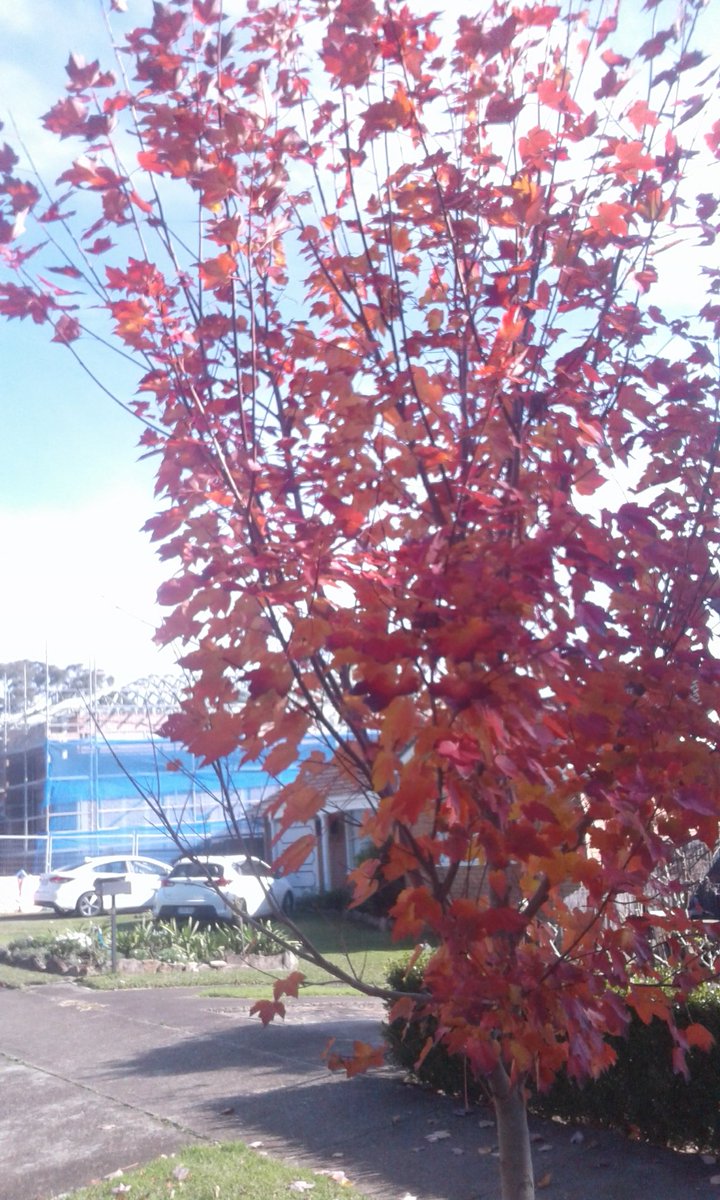 Art By Jonathan (@jonatha05532126) on Twitter photo 