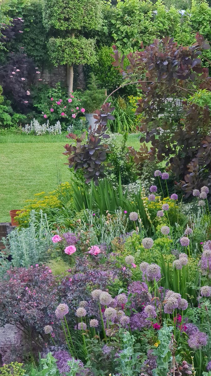 Woke up briefly at 4.30am and took this pic of the garden out of the bathroom window. Am really quite pleased #gardening