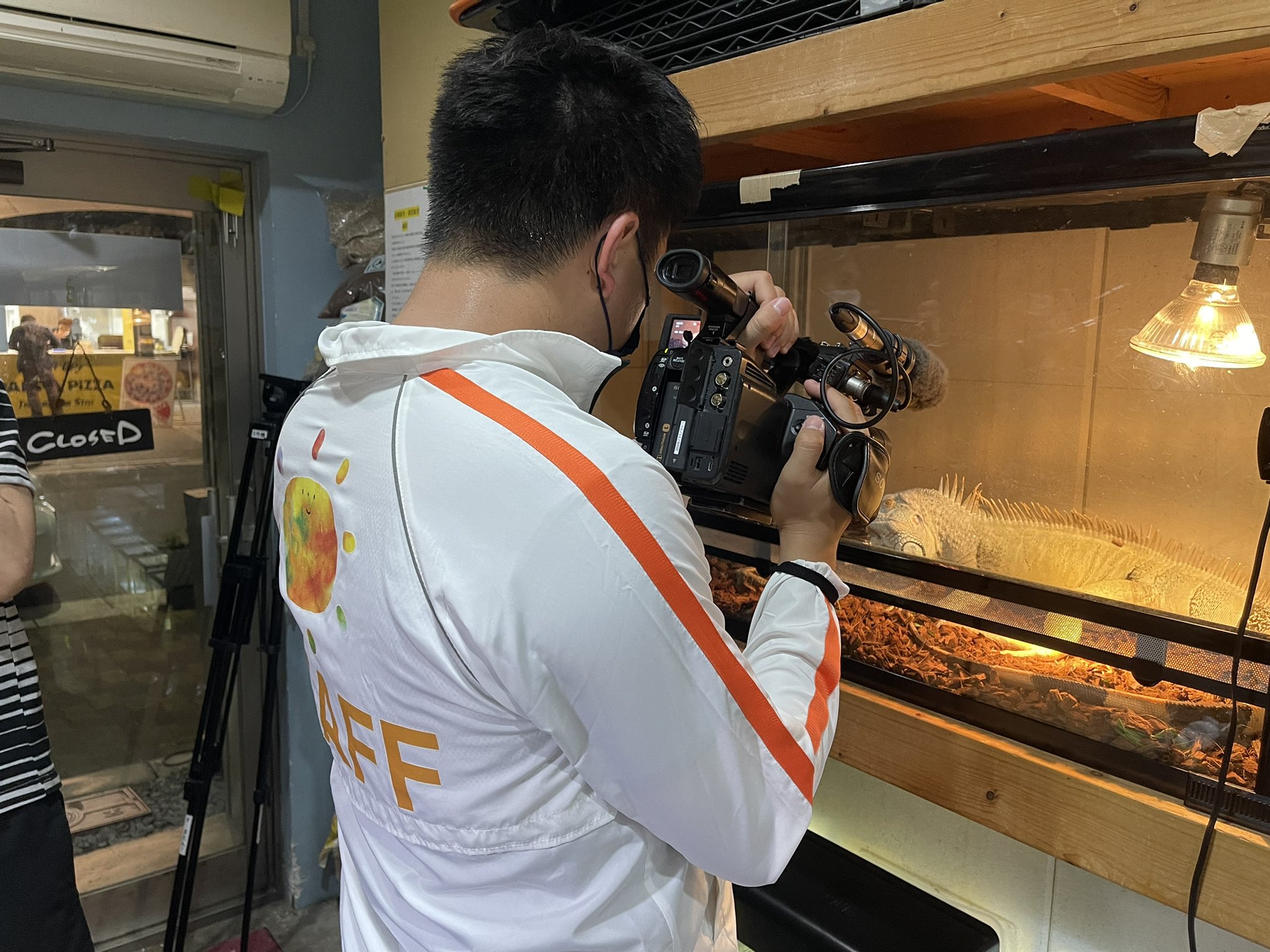 爬虫類専門店 アクアスペース 本日は読売テレビの朝の情報番組 朝生ワイドす またん にて 昨今の爬虫類の脱走についてのインタビューを受けさせていただきました 明日の朝の放送となります よろしくお願い致します T Co Lemhibu5gf