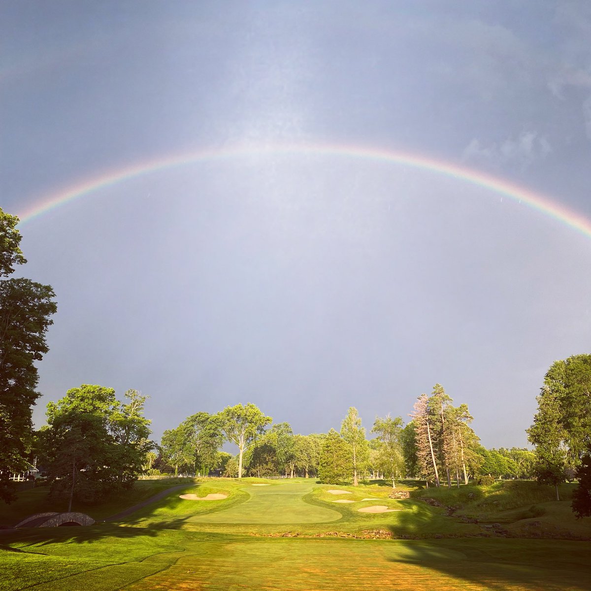 ericwnords's tweet photo. Pot o’ gold https://t.co/rITUm8DXi9