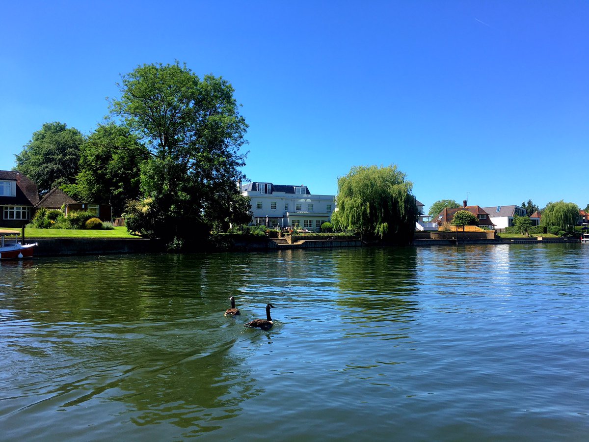 Have the best friends — ON  the water instead of by it today - #10000steps #dayoff #electricboat  #nature #photography