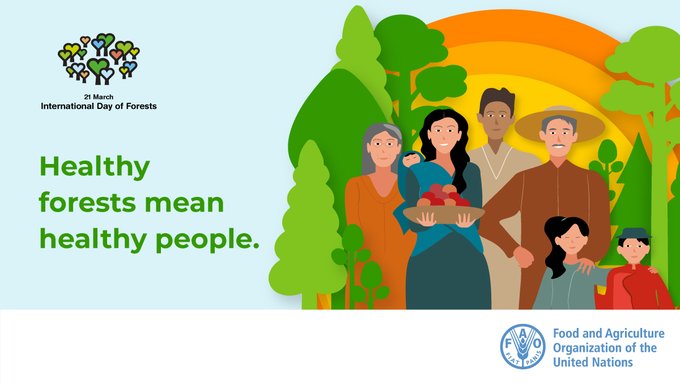 FAOForestry's tweet photo. Healthy forests mean healthy people. https://t.co/PsXmnaxTeR