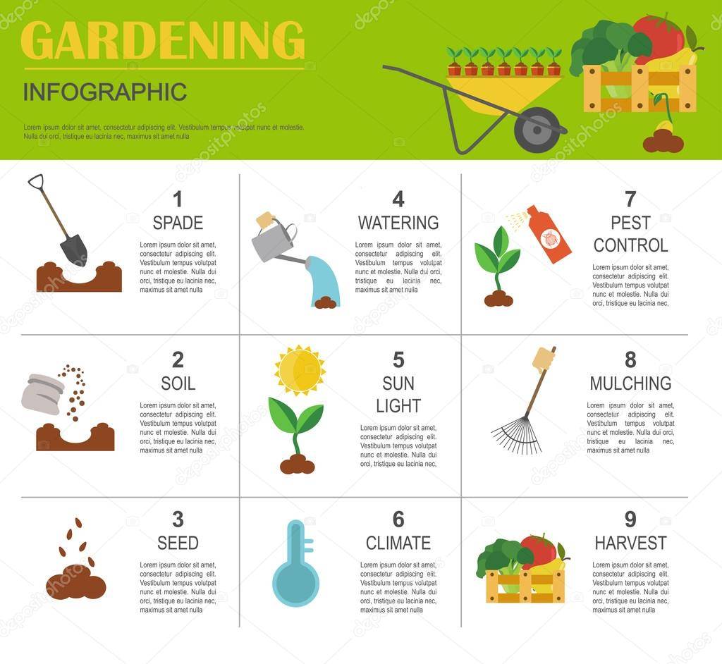 What is involved in gardening? So much learning and fun. What is your favorite part? Also, Check out HOW DOES YOUR GARDEN GROW? available on Amazon for more gardening info tinyurl.com/34s43era #IReadCanadian #PictureBooks #kidlit #gardening #garden #howtogarden