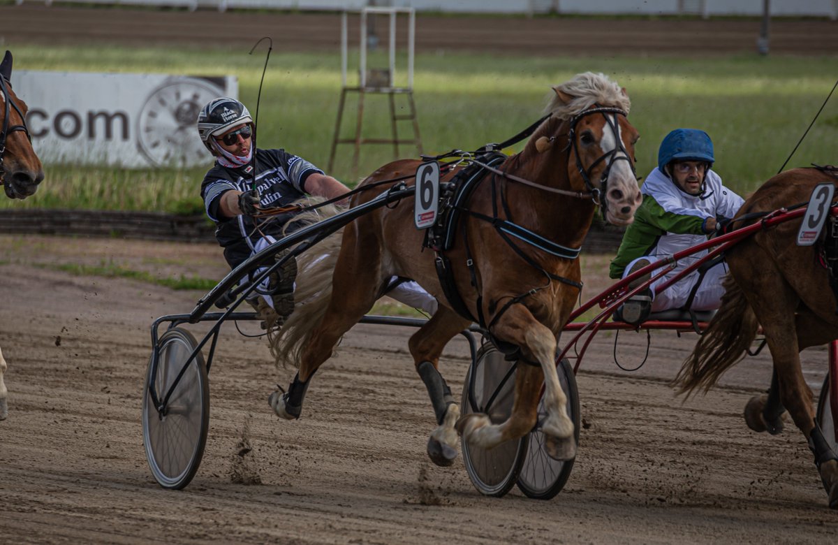 Viidennen lähdön tiukka voittaja Palopäällikkö ja Tero Sulin #ravit