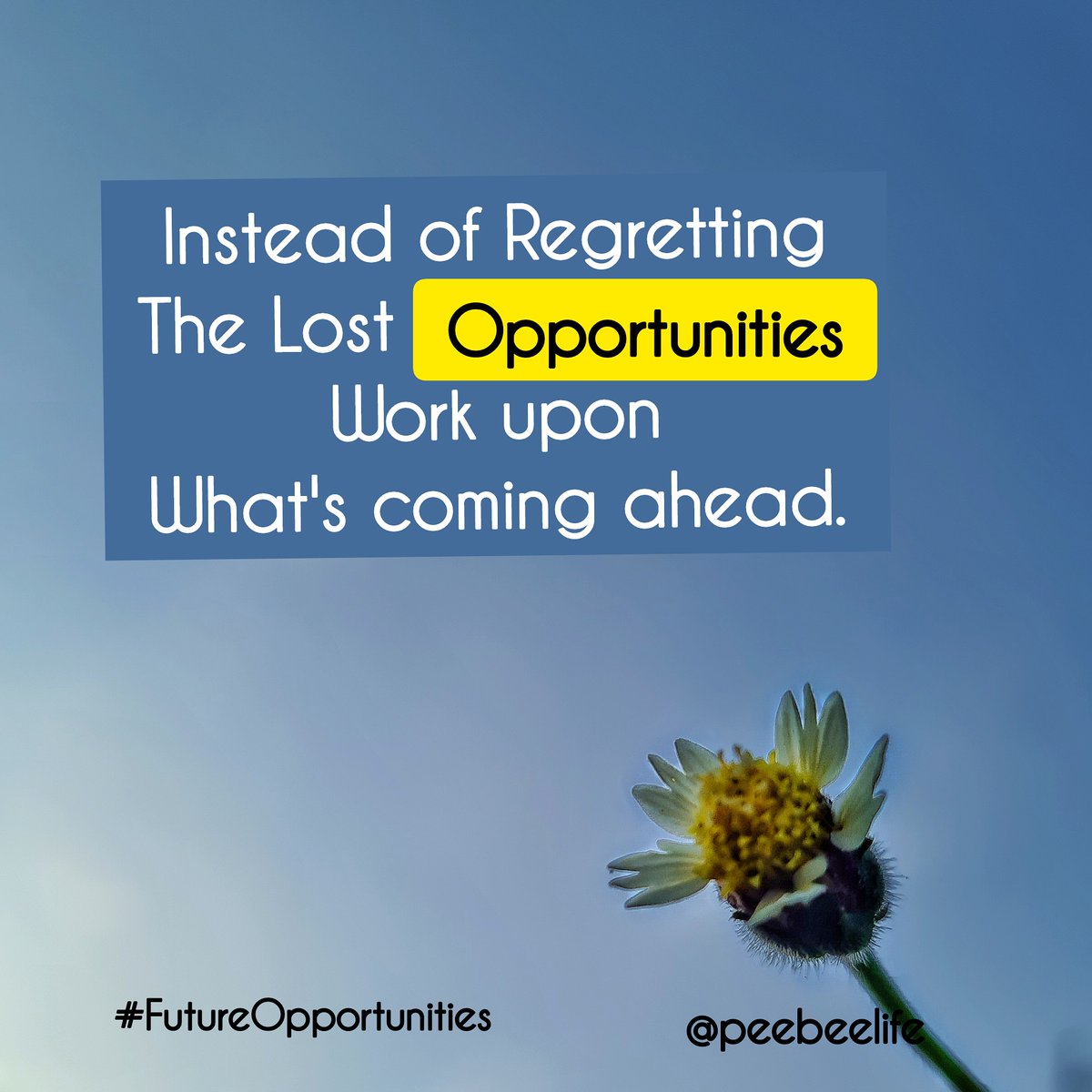 LifePeebee's tweet photo. Instead of Regretting The Lost Opportunities, Work upon What's coming ahead.
.
.
#opportunities #future #futuregoals #bettertomorrow #tomorrow #results #failure #pastisgone #pastispast #thinkoffuture #tomorrowworks #goals #achievement #successmindset #successful #successfulpeople https://t.co/BW5BbnOvEa
