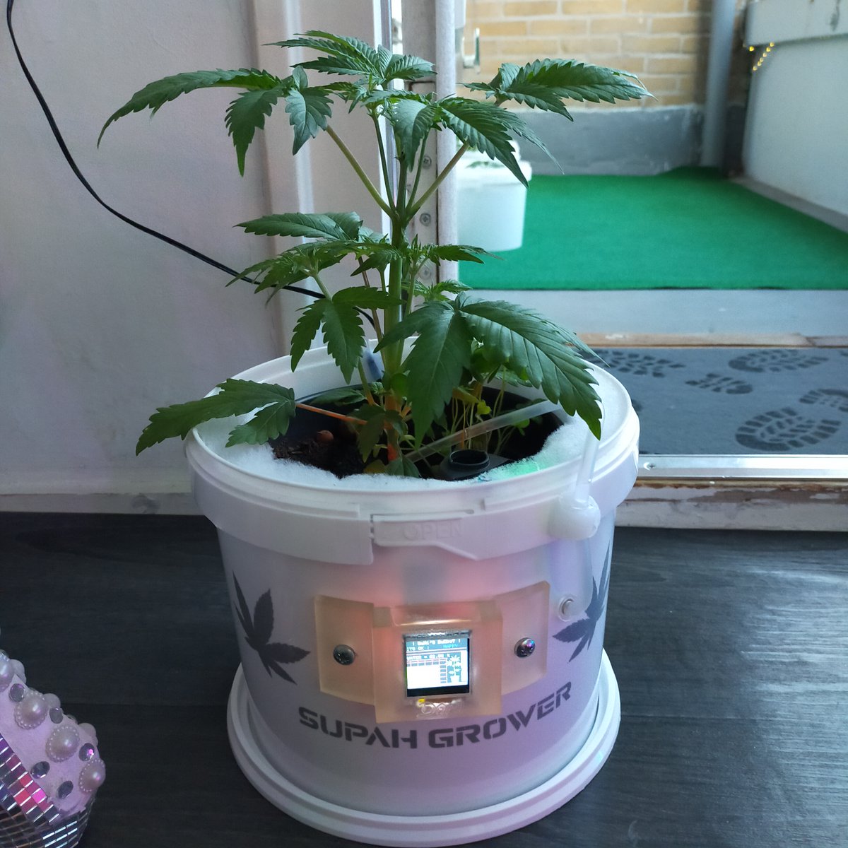 Dexterbot3's tweet image. Made a Arduino Weed plant Automatic grow bucket ! tested it , wil show results soon ! 🙌😍  #arduinoday #arduino #hardwarehacker #opensource #weed #growfaster #CannabisCommunity #sativa #Genius #smokeweed #smokers #groww #Dexterbot #CannabisNews #CannabisLegale