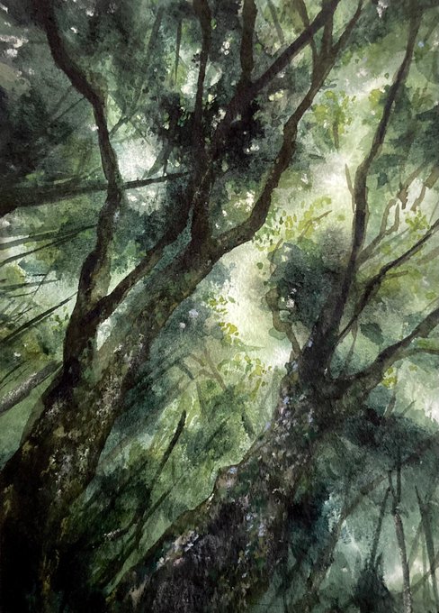 風景画 高画質 のtwitterイラスト検索結果 古い順