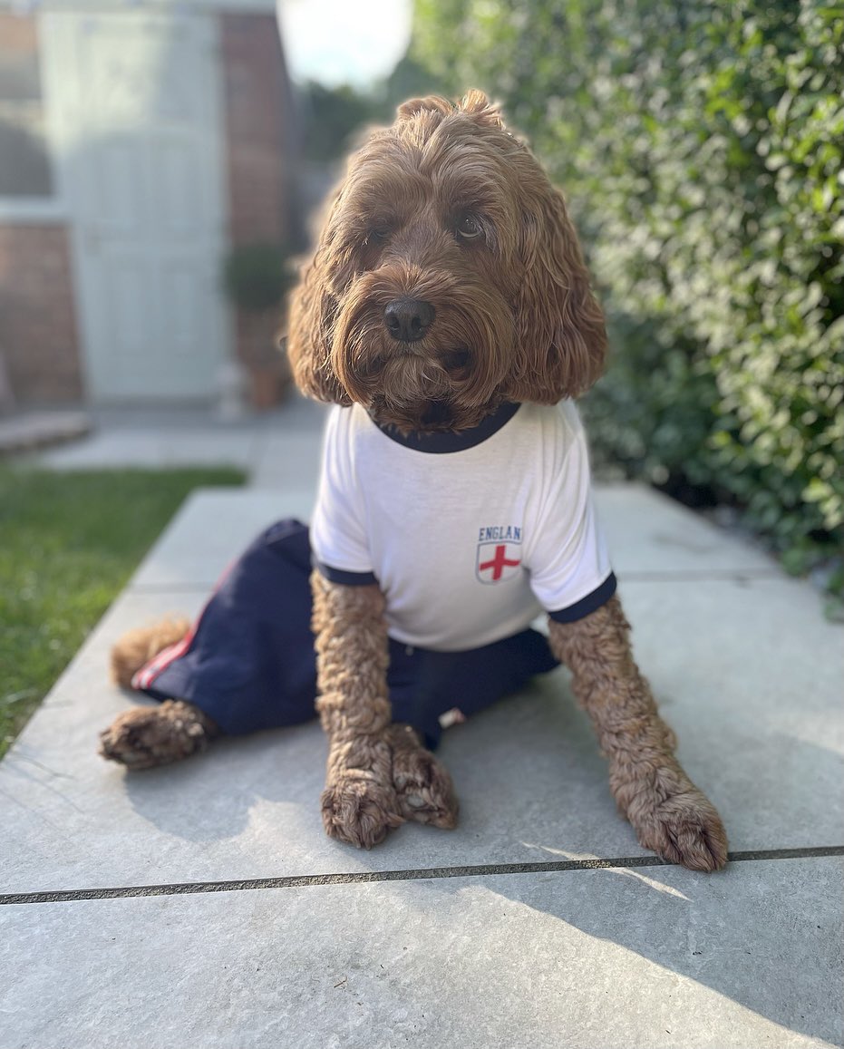 My little lion supporting the 🦁🦁🦁...come on <a href="/England/">England</a>! We f u l l y support you and everything you kneel for. Carry on making us proud boys ⚽️🏴󠁧󠁢󠁥󠁮󠁧󠁿🏆.

#EURO2020 #bbceuro2020 #ENGCRO
