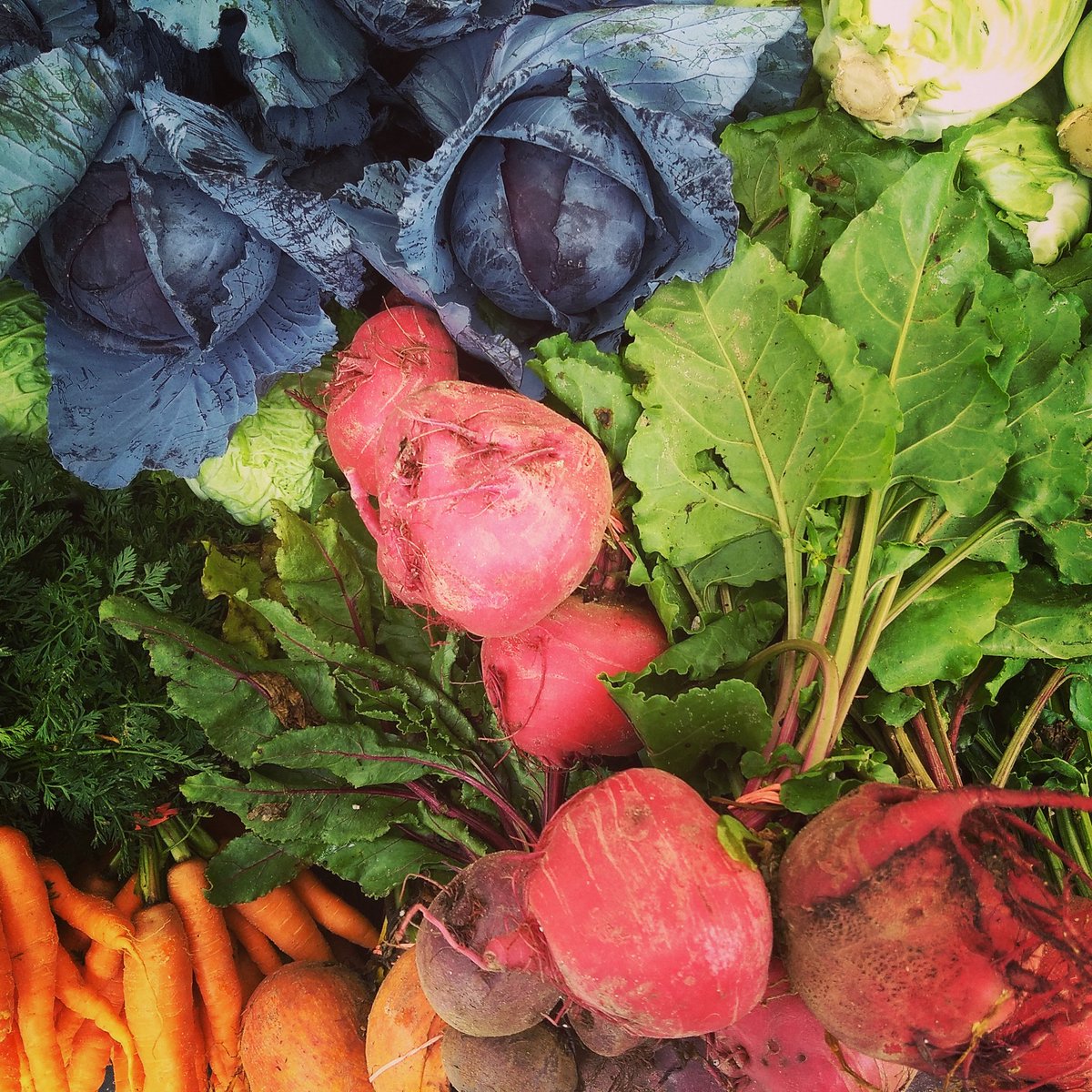 FRESHFARMMonroe's tweet photo. Lil bit of a messy rainbow but in real life, things aren't picture perfect. Happy Pride Month, Shoppers!
#dcprideweekend #dcpride2021#rainbowfoods #pridemonth #eattherainbow #betherainbow #eatyourveggies @freshfarmdc @ArtsWalkMSM https://t.co/1Qn6iN1u1s