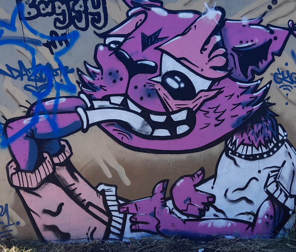 3speeders's tweet photo. Graffiti cats adorning the remnants of the anti-aircraft battery on aptly named #Purdown #Bristol https://t.co/IH3jzLX3v9
