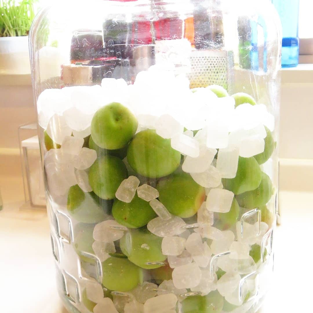 迫本理寛 Michiseri Twitter