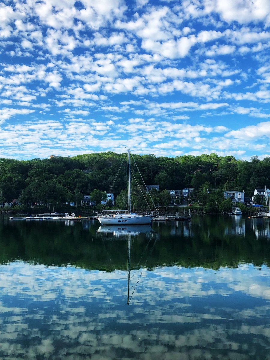 jon_bailey_anes's tweet photo. A beautiful morning for a run on the Northwest Arm. #CASmoves #CASAM2021
One of the many reasons to plan a visit for #CASAM22 in #Halifax
(And why I need to buy a SUP board like @dylanbould https://t.co/ekIVblafFz