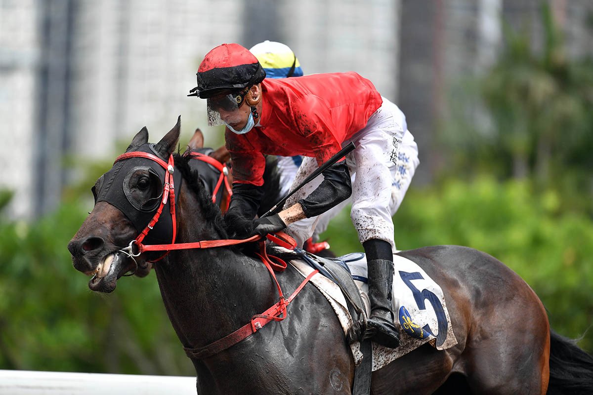 Hkjc Racing On Twitter Eight Of The 11 Winners This Afternoon At Sha Tin Had Been Stabled At Conghua Racecourse After Their Previous Starts In Hong Kong Hkracing Results Https T Co Ugaiuvufny Https T Co Fhttlfbtfy