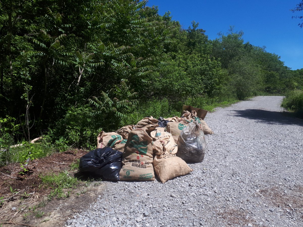 floyd_ruskin's tweet photo. @dontmesswthedon does bi-weekly cleanups and weekly stewardship in the Don Valley. Follow us on Facebook or join our community FB group: A Park for All to find our next activity. HS volunteer hours eligible #loveTOravines #cleanTOtogether #volunteersROCK
https://t.co/yUqmZSGUhH https://t.co/VZqVKt9lzP