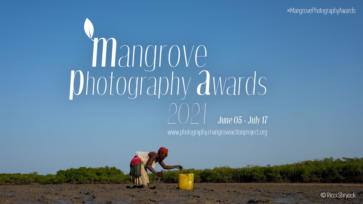 Calling all photographers and mangrove lovers!
@MangroveProject's #MangrovePhotographyAwards are now accepting submissions. We would love to see more photos from Maldives featured this year. Open to all ages!
🌳 Wildlife
🌳 Landscape
🌳 Underwater
🌳 People
🌳 Threats
🌳 Youth