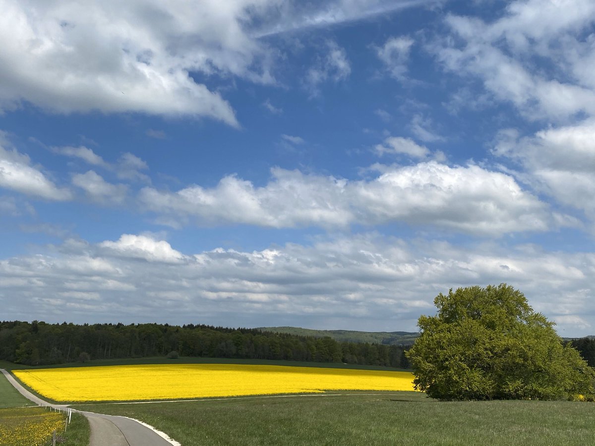studio13rt's tweet photo. Ich l(i)ebe Natur. 

#naturelovers #natur #nature #life #lifestyle #twitter 
#sky #clouds #wolken #blau https://t.co/ZCgyKJQyJW