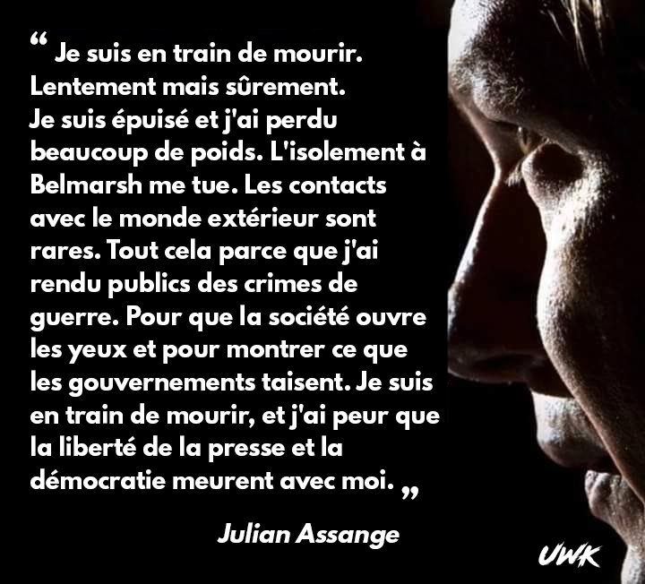 berrichonfou's tweet image. 