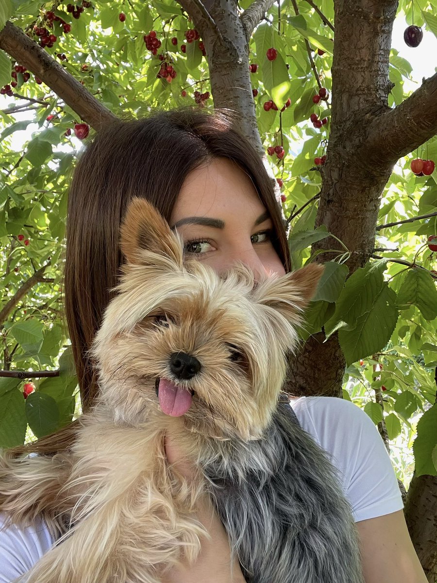 barbara pedrotti tweet media