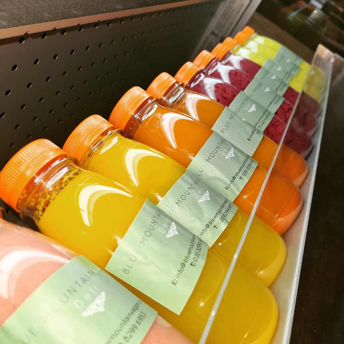 Blue Mountain Vegan tweet media