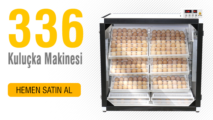 Altın kuluçka ticari kuluçka makinesi serisinden 336 lık kombine kuluçka makinesi 

detaylar için :
👉 altin-kulucka.com/kulucka-makina…

#altınkuluçka #kuluçkamakinesi #eggincubator #tavukçuluk