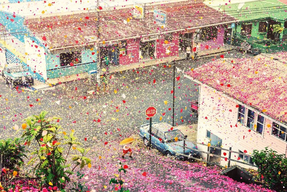 Bouteflikov's tweet photo. En 2014, pendant un jour, une ville du Costa Rica a été couverte de 8 millions de pétales de fleurs à l'occasion d'une pub. SONY. Avec l'aide des locaux, 3,5 tonnes de pétales ont été collectées et placées dans un volcan, juste avant l'éruption, pour inonder les rues de couleurs. https://t.co/1tFRJKuLQa