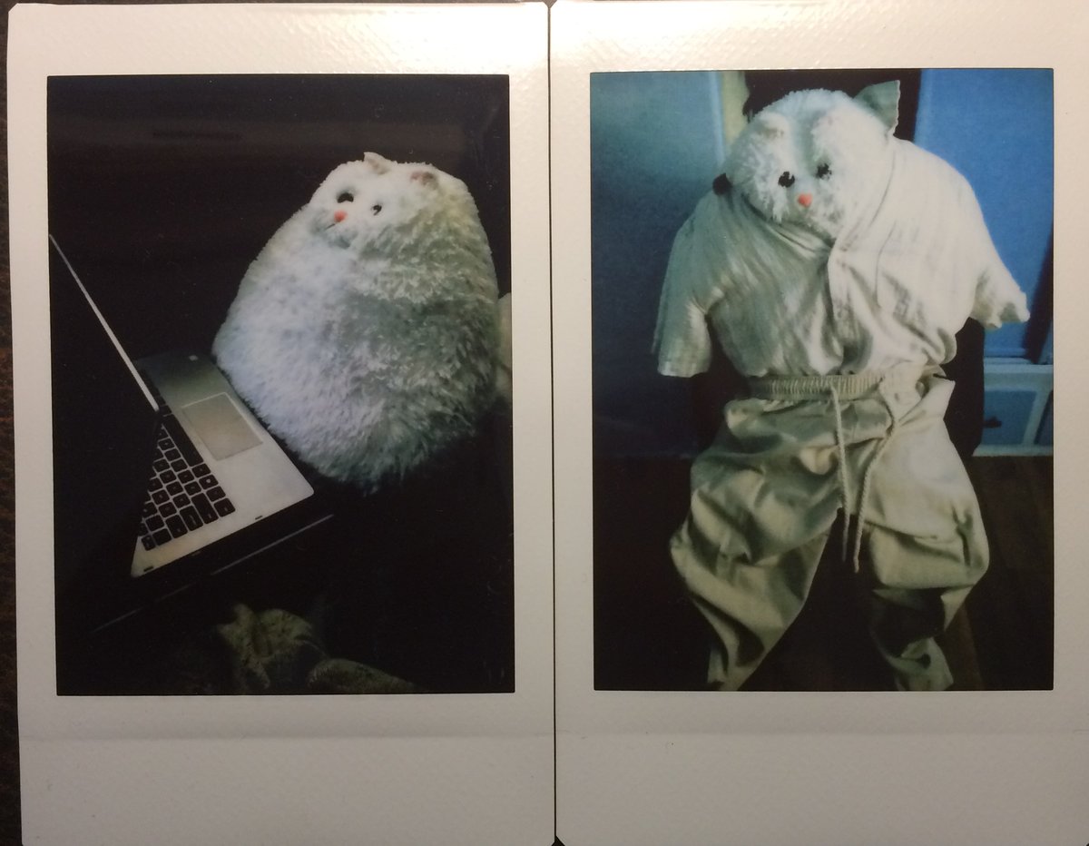 AelxCarter's tweet photo. A little bit o' Big Cat https://t.co/4htCIAN5d5