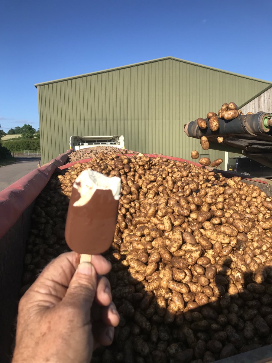 mtthw574's tweet photo. Yesterday loading spuds on a farm near Leominster- background the amazing Black Mountains- home territory many moons ago- lovely present from the farm to keep me going  ! https://t.co/O0KRJwWJM8