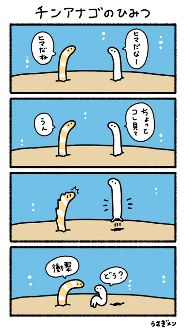 チンアナゴのひみつ 