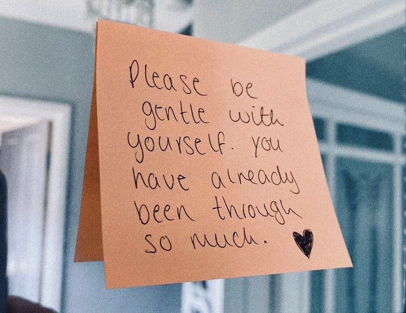 WholesomeMeme's tweet image. 