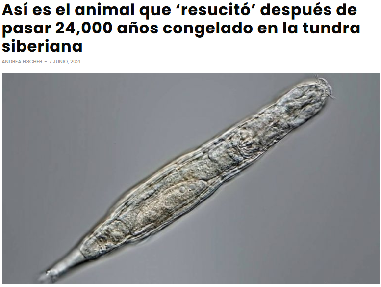 KingPiltrafilla's tweet photo. No me digáis que no habéis pensado lo mismo. https://t.co/OJWzwHuPiQ