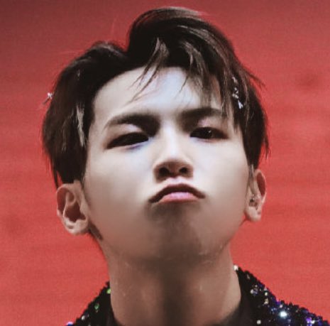 dearchaselee's tweet photo. im gonna squish u https://t.co/dz66X6ViS1