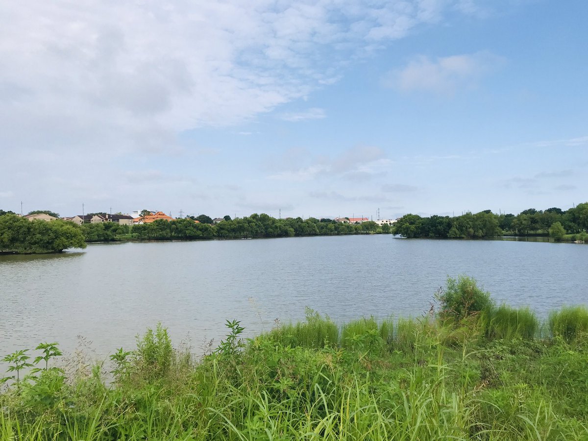 michaelbeck's tweet photo. Good Sunday morning everyone.
I love Sundays because that means I get to do my easy Sunday morning walk…. Translation, a stroll 😀🏃🏽♂️.
Hoping the overcast remains during my walk so it won’t be so hot with the sun out. #EveryBlessing https://t.co/Q0ayQCtJdt