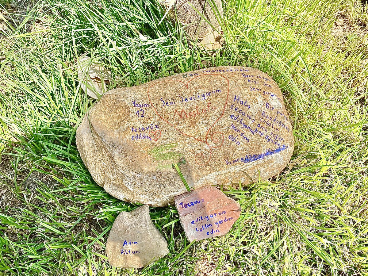 12 yaşındaki Altun, parktaki bir taşa “yaşım 12, tecavüz edildim, adım Altun. Tecavüz ediliyorum. Lütfen yardım edin”
diyerek sesini duyurmak istemiş. 

13 Haziran 2021 - Kepez/Antalya 

Altun’un yanındayız. Sürecin takipçisiyiz. 

#AltununSesiOlalım