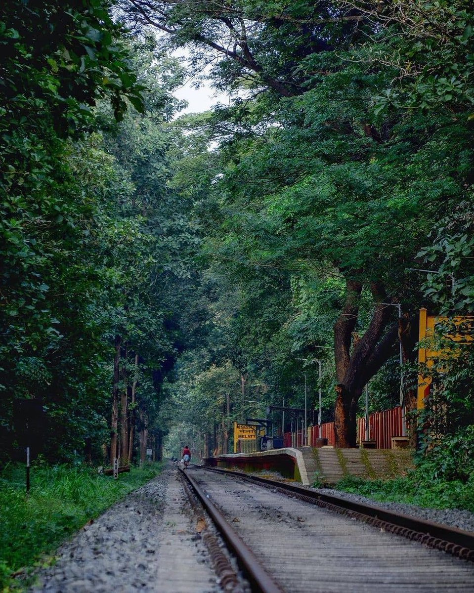 Natural beauty 🍀 𝗠𝗲𝗹𝗮𝘁𝘁𝘂𝗿 𝗥𝗮𝗶𝗹𝘄𝗮𝘆 S𝘁𝗮𝘁𝗶𝗼𝗻, 𝗠𝗮𝗹𝗮𝗽𝗽𝘂𝗿𝗮𝗺 𝗞𝗲𝗿𝗮𝗹𝗮 💚

#melatturrailwaystation #melattur #railwaystation #railway