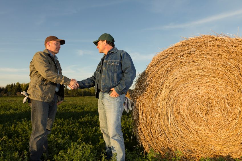 nongmoreport's tweet image. #Organic and #nonGMO grain buyers are offering contracts to farmers to grow organic and non-GMO grains in 2021. buff.ly/3bzyFB5