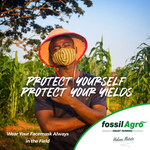 fossil_agro's tweet photo. Protect Your Fellow Workers and Ensure the Success of a Good Yield by having Maximum Hands On Deck!!!
Stay Safe, and Mask Up.
#fossilagro #smartfarming #protectyourworkers #protectyourself #smartworking #maximumsuccess #happysunday https://t.co/IVyOYXBtik